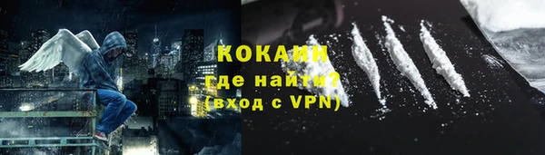 сатива Кинешма