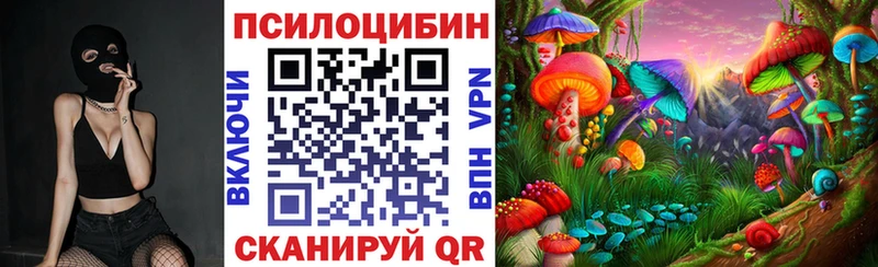 Псилоцибиновые грибы Psilocybe  Купить  Каргат 